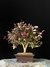 Loropetalum rubrum