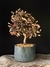 Loropetalum rubrum na internet