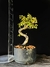 Cotoneaster - comprar online