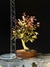 Loropetalum rubrum - comprar online
