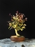 Loropetalum rubrum
