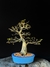 Pitanga - Dr Bonsai
