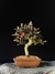 Loropetalum rubrum na internet