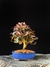 Loropetalum rubrum