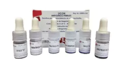 Kit De Antigenos Febriles 6X5Ml Licon - comprar en línea