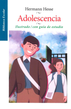 Adolescencia Hermann Hesse Scott Fitzgerald Biblioteca Escolar Libro Nuevo