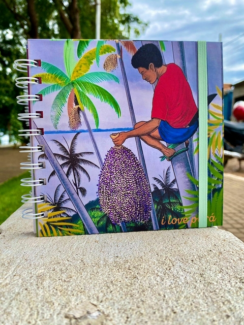 Caderno Colheita do nosso Açai - RIQUEZAS DO PARÁ