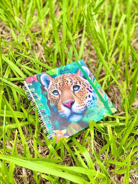 Caderno Onça Bela - RIQUEZAS DO PARÁ