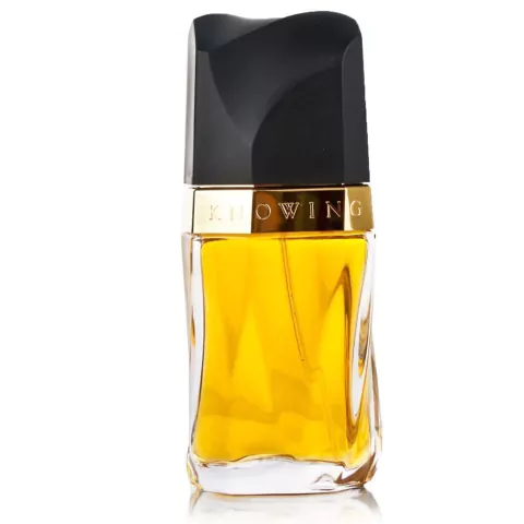 KNOWING ESTEE LAUDER EAU DE PARFUM