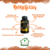 Kit 3 Seca Barriga Com Garcinia e Noz da Índia 60 Capsulas - Linha Premium na internet