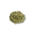 Alcachofra (50g) - comprar online
