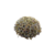 Alfazema Comercial (50g) - comprar online