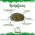Moringa (50g) na internet