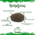 Oregano (50g) na internet