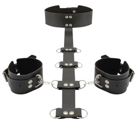 Coleira com algema e restrição