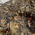 Te Pu Er - Sheng Puerh Tea - Crudo - Importado de China en internet