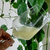 Sake Tokubetsu - de levadura y procedimiento especial 500 ml - Circulo Once | Alimentos al estilo asiático a partir de recetas tradicionales 