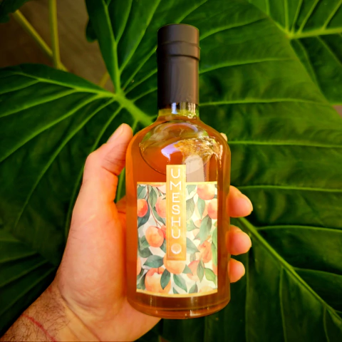 Umeshu - botella serie especial 370 ml