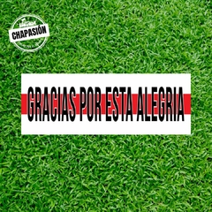 Gracias por esta alegria - bandera River Plate festejo campeón