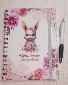 Imagen de AGENDA PEDIÁTRICA
