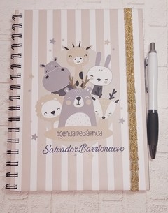 AGENDA PEDIÁTRICA