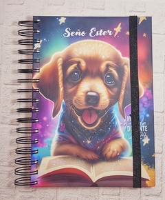 AGENDA DOCENTE - NIVEL PRIMARIO en internet