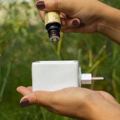 FENNEL ESSENTIAL OIL 10ML - buy online