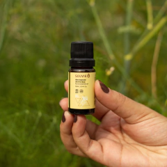 OLEO ESSENCIAL ERVA DOCE 10ML OUTLET na internet