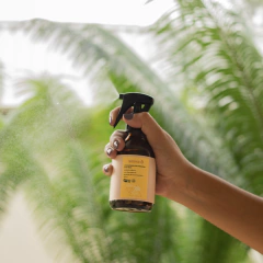 AROMATIZADOR DE AMBIENTES ERVA DOCE 150ML - comprar online