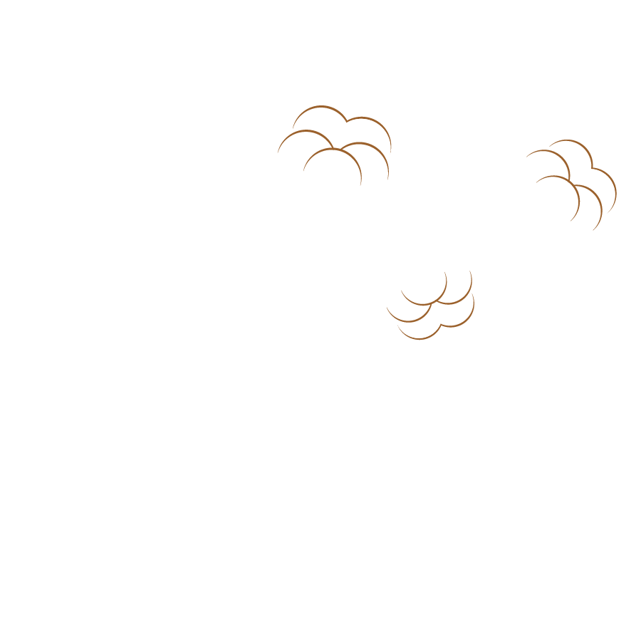 Flor do Campo Tecidos