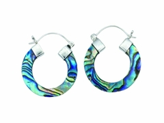Argola abalone