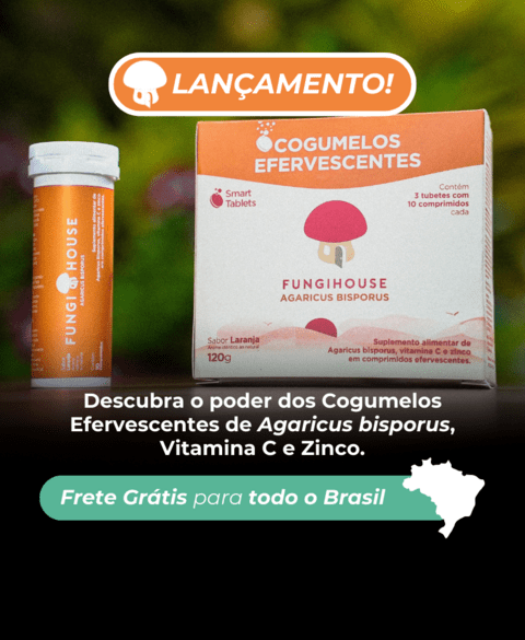 Carrossel 1
