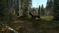 Dayz Para PS4 - loja online