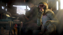 Far Cry 4 Para PS4 - loja online