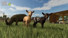 Farming Simulator 25 Para Ps5 na internet