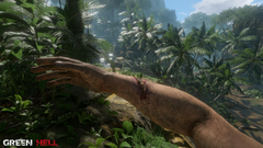 GREEN HELL PARA PS4 - loja online
