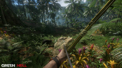 Imagem do GREEN HELL PARA PS4