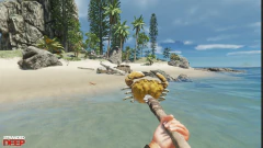 STRANDED DEEP PARA PS4 na internet