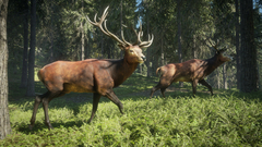 theHunter Call of the Wild Para PS4 na internet