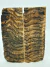 1 PAR DE TALAS CHIFRE DE CARNEIRO MERINO 130X50X10MM