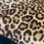 BURBERRY Bolsa Animal Print