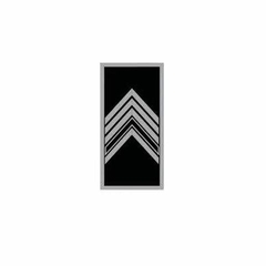DIVISA EMBORRACHADA 2º SARGENTO