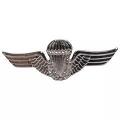 DISTINTIVO METAL PQD
