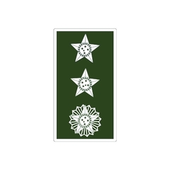 DIVISA EMBORRACHADA MAJOR EXERCITO BRASILEIRO