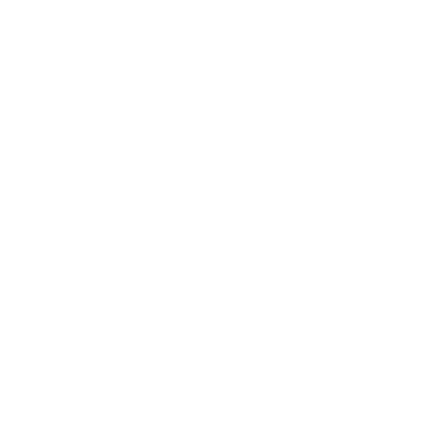 Camisa Doze Brechó