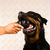 glotoni xtreme - tienda online