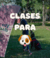 Banner de off leash
