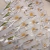 Caneta personalizada - Bic - loja online