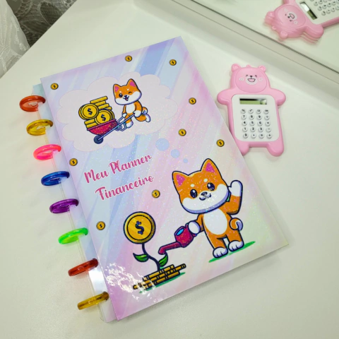 Planner controle financeiro infinito personalizado