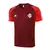 Camisa SC Internacional 24/25 Treino Adidas Masculina - Vermelha - comprar online